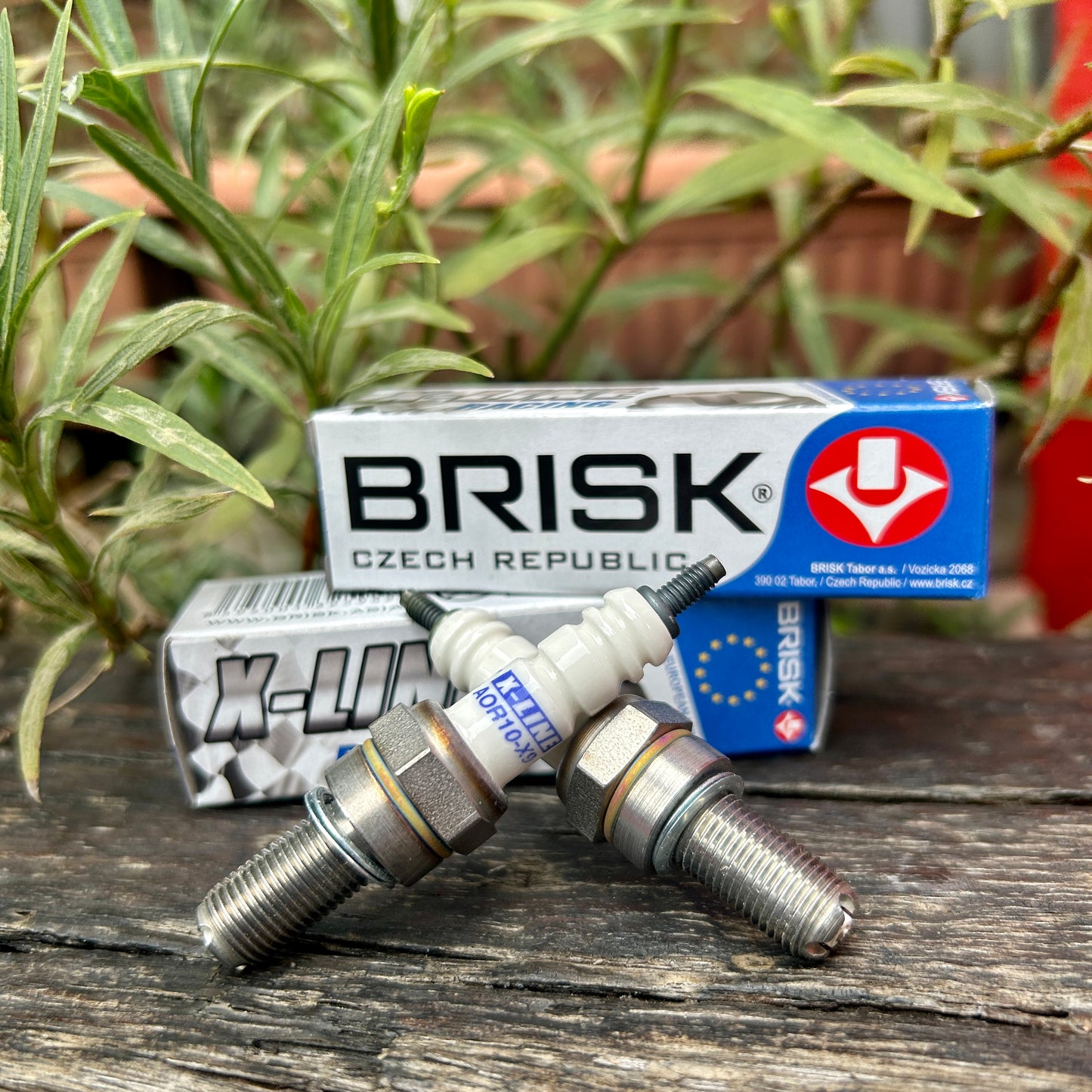 BRISK SPARK PLUGS X-LINE AOR10-X9