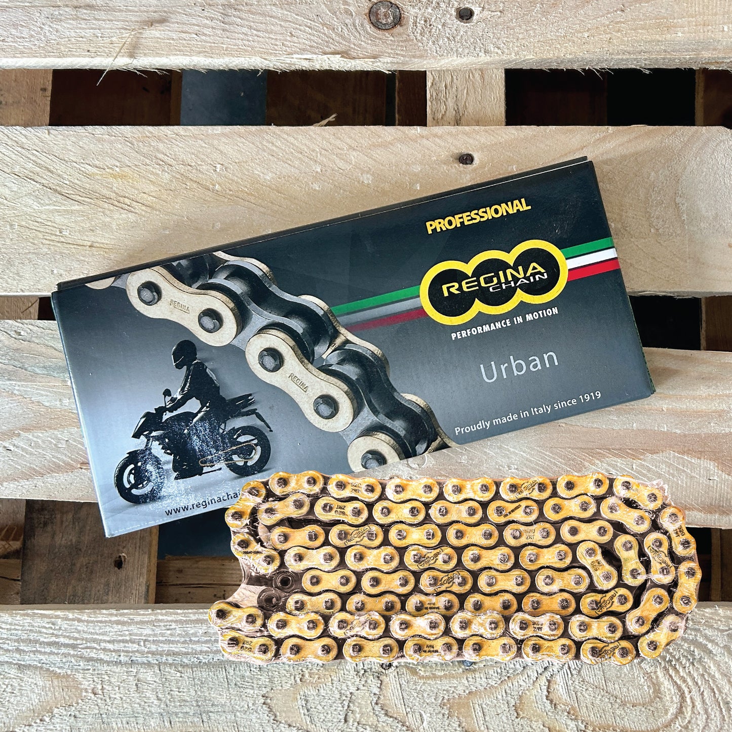 REGINA 126EB-ORO (428) MOTOCROSS / OFF-ROAD MOTORCYCLE GOLD CHAIN, BELOW 150CC, NON OIL SEAL